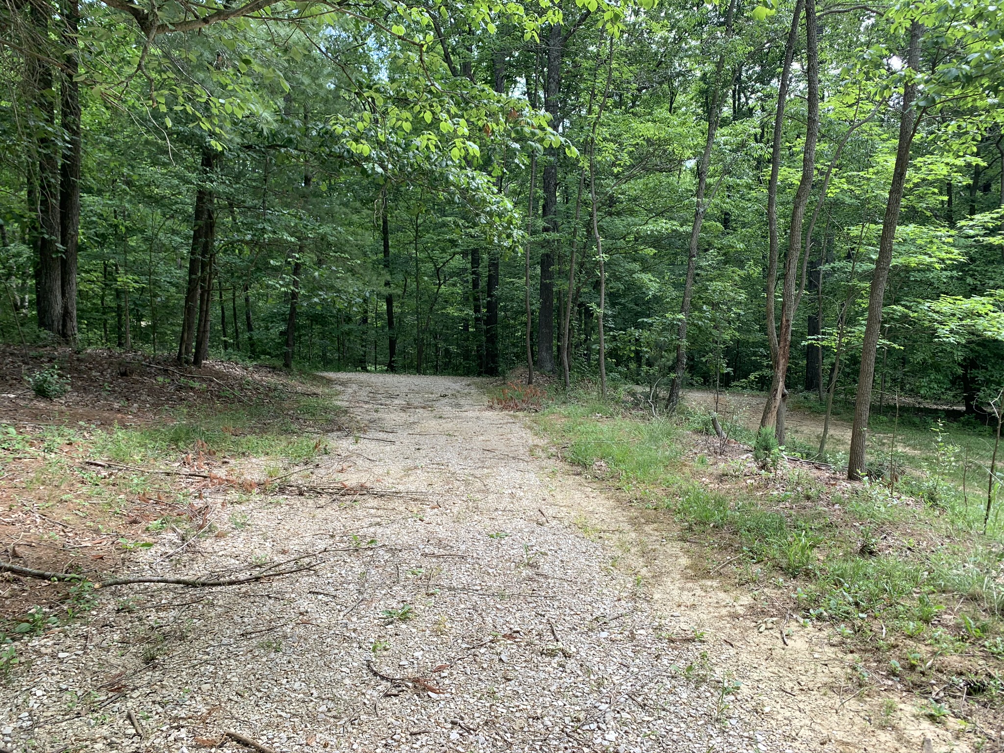 Trail near Cheyenne campground at MSR